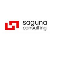 sagunaconsulting